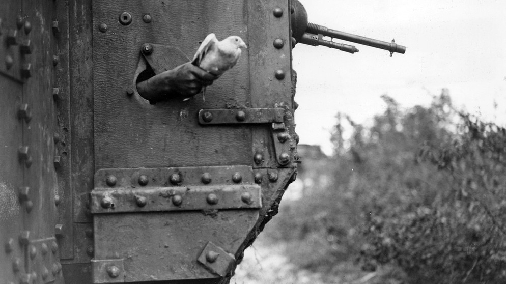 Während des Ersten Weltkrieges wurden auch Tauben als Boten eingesetzt. | Bild: picture alliance / Mary Evans Picture Library | -
