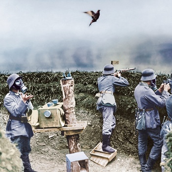 Deutsche Soldaten während des Ersten Weltkrieges, mit Taube in der Luft | Bild: picture alliance / akg-images | akg-images