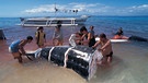 Walhai - der größte Fisch im Meer. Dieses Bild zeigt, wie ein Walhai 2002 auf den Philippinen zerlegt wurde. | Bild: picture-alliance/dpa/WILDLIFE