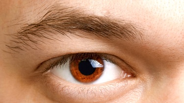 Kann man Narzissten durch die Untersuchung ihrer Augenbrauen erkennen? | Bild: colourbox.com