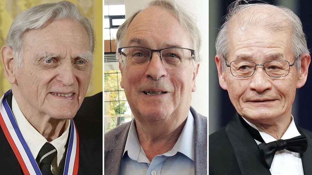 Chemie-Nobelpreisträger 2019: John Goodenough, Stanley Whittingham und Akira Yoshino | Bild: BR, dpa-Bildfunk