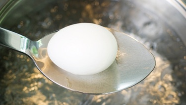 Ei wird im Kochtopf gekocht | Bild: colourbox.com
