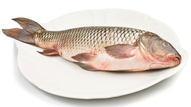 Fisch auf einem Teller | Bild: colourbox.com