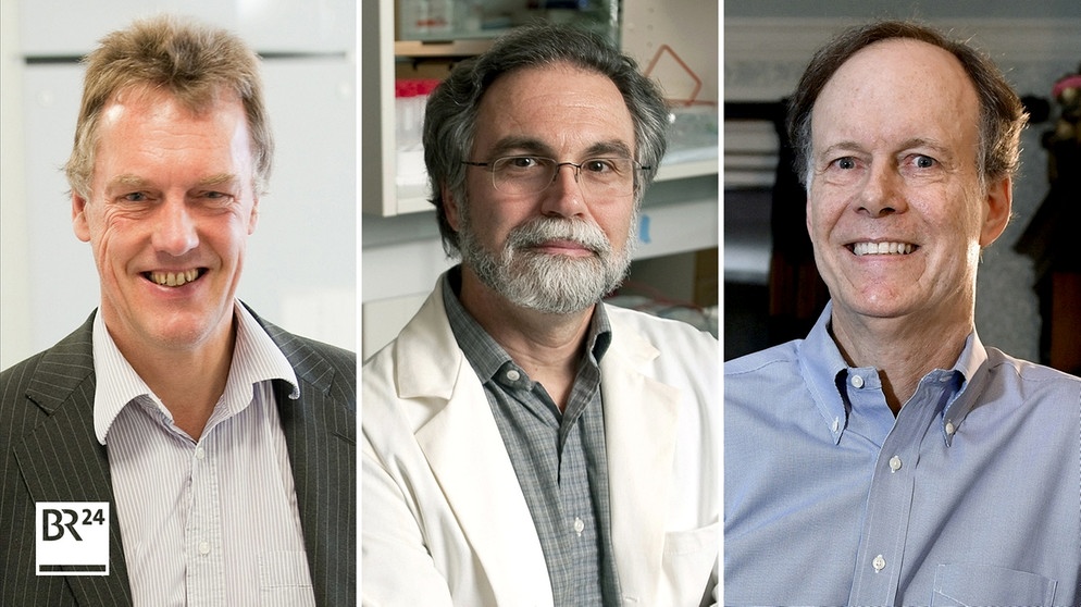 Medizin-Nobelpreisträger 2019: Sir Peter Ratcliffe (Großbritannien), Gregg Semenza (USA), William Kaelin (USA) | Bild: BR