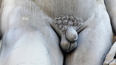 Der Penis eines Gottes: Ausschnitt der Neptunstatue in Florenz | Bild: colourbox.com