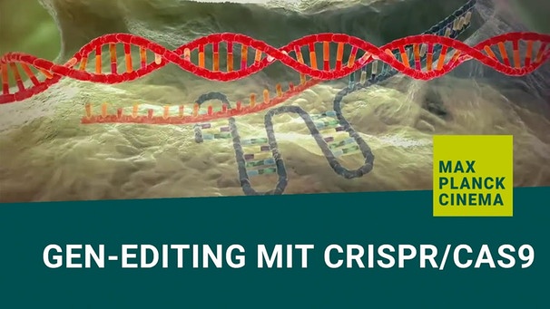 Gen-editing mit CRISPR/Cas9 (english subtitles) | Bild: MaxPlanckSociety (via YouTube)