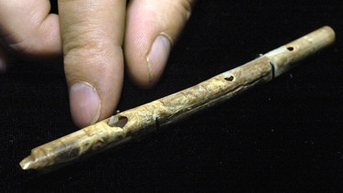 Eine Schwanenflügelknochen-Flöte aus der Eiszeit. Die rund 35.000 Jahre alte Knochenflöte wurde bei Ausgrabungen im Geißenklösterle, einer Höhle bei Blaubeuren auf der Schwäbischen Alb, gefunden. | Bild: picture-alliance/dpa