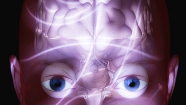 Schaltzentrale Gehirn, Nervenzellen verknüpfen sich, Informationen werden abgespeichert. Unser Gehirn sortiert und speichert Erfahrungen im Gedächtnis ab. Wie funktioniert unser Gedächtnis und wie holen wir diese Informationen wieder hervor?  | Bild: picture-alliance/dpa