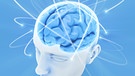 Wenn der Mensch denkt, verändert sich sein Gehirn. (Grafische Darstellung eines Kopfes mit Blick ins Hirn.) | Bild: colourbox.com