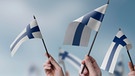 Finnland wird zum siebten Mal in Folge als glücklichstes Land der Welt gekürt. Was macht das Glück der Menschen im Norden aus? Können wir genauso glücklich werden, wie die Finnen - und wenn ja, wie? | Bild: picture alliance / Zoonar | Aleksey Butenkov