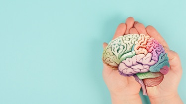 Illustration: Eine Hand hält ein buntes Gehirn in den Händen. Grübeln wir, bewegen sich unsere Gedanken wie in einem Gedankenkarussell. Wir erklären euch die Ursachen für euren Grübelzwang und wie ihr negative Gedanken stoppen könnt. | Bild: colourbox.com