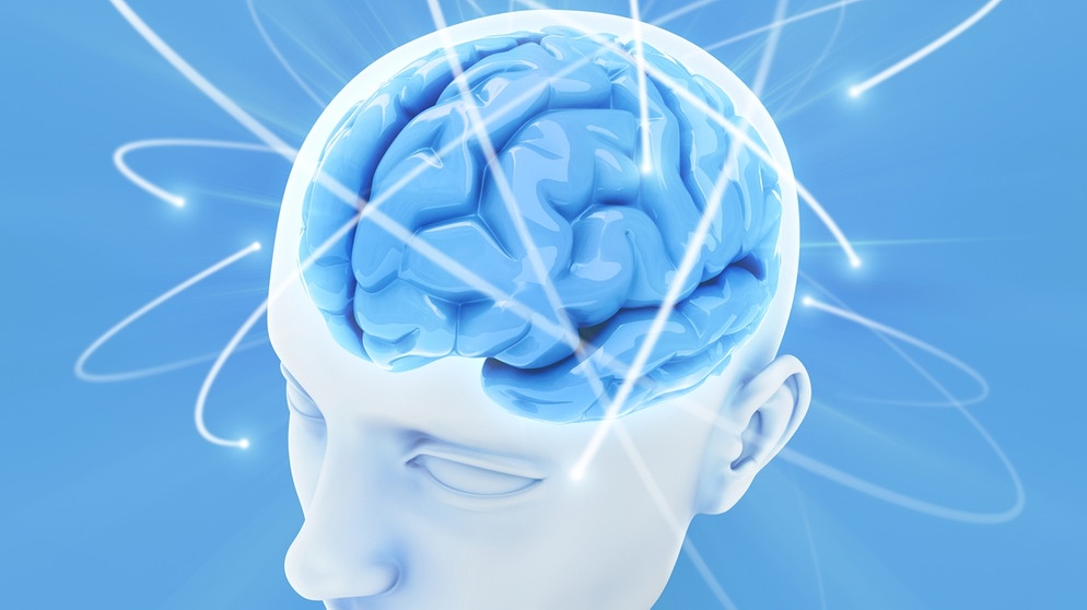 Grafische Darstellung eines Kopfes mit Blick ins Hirn. Wenn ihr denkt, verändert sich euer Gehirn. Die Abläufe im Hirn sind ein lebenslanger Prozess, der niemals endet.  | Bild: colourbox.com