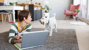 Frau am Fußboden mit Laptop schaut auf einen kleinen Hund, der neben ihr steht. Was ist der Grund für Prokrastination? Häufig prokrastinieren Menschen, denen ein strukturierter Tagesablauf fehlt. Es ist aber nicht die einzige Ursache. | Bild: picture alliance / Westend61 | Rainer Berg