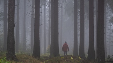 Ein Mann geht durch einen Wald, es ist nebelig. Einsamkeit kann jeden treffen und ist in Deutschland weit verbreitet, besonders Jugendliche und junge Erwachsene sind betroffen. Warum Einsamkeit krankmachen kann und welche Strategien euch helfen, sie zu überwinden. | Bild: picture alliance/dpa/Boris Roessler