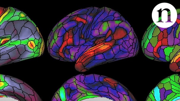 The ultimate brain map | Bild: nature video (via YouTube)