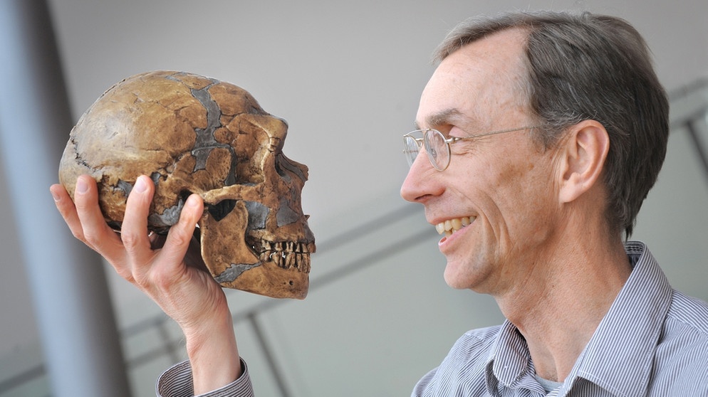 Svante Pääbo, Direktor am Max-Planck-Institut für evolutionäre Anthropologie in Leipzig, zeigt die Rekonstruktion eines Neandertaler-Schädels . | Bild: picture-alliance/dpa/Max-Planck-Institut/Frank Vinken