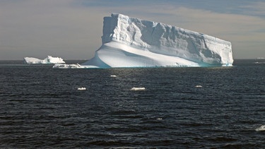 Eisberge im Weddellmeer in der Antarktis. | Bild: picture alliance / blickwinkel/AGAMI/P. Morris | AGAMI/P. Morris