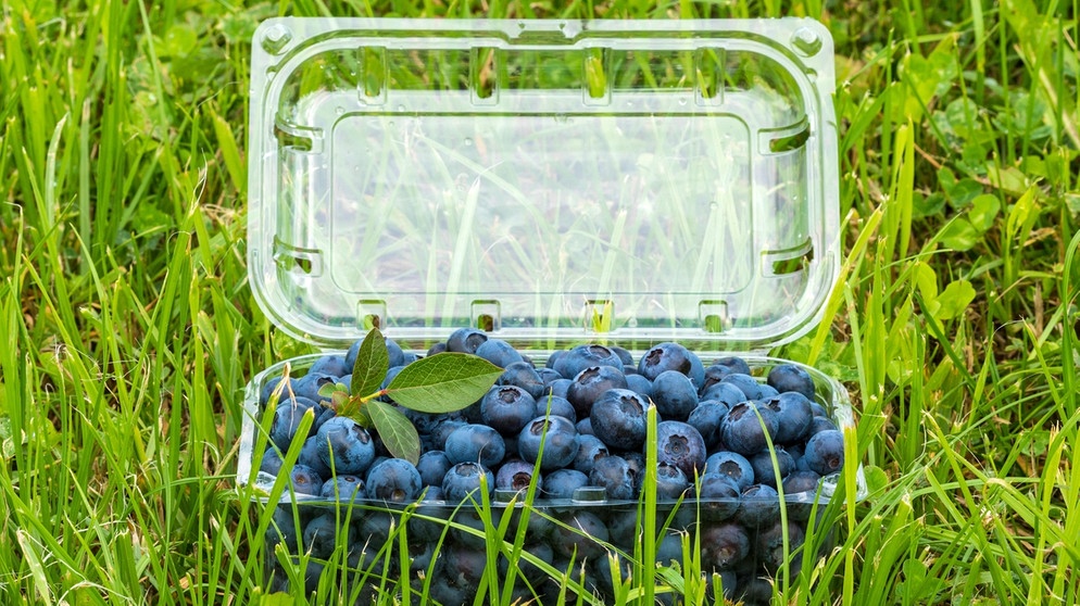 Heidelbeeren in einer Plastikbox | Bild: picture alliance / Zoonar | GRAZVYDAS JANUSKA