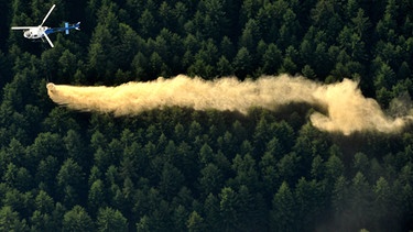 Ein Helikopter vom Typ AS 350 verstreut aus einem am Haken hängenden Silo Magnesiumkalk über einem Waldgebiet. | Bild: picture-alliance/ dpa | Stefan Thomas