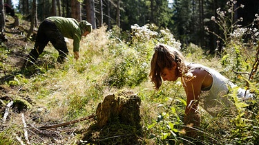 Im Bergwaldprojekt sind bereits mehr als 2,5 Millionen Bäume gepflanzt worden. | Bild: BR