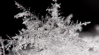 Eiskristall, Schneeflocke in Nahaufnahme. Eisblumen, Schneeflocken, Winterwetter vom Feinsten? Dabei ist die weiße Pracht gar nicht wirklich weiß. Und Schnee ist auch nur ein Niederschlag wie Regen oder Graupel. Zudem kann Schnee auch durchaus gefährlich werden. | Bild: picture-alliance/dpa, Patrick Pleul
