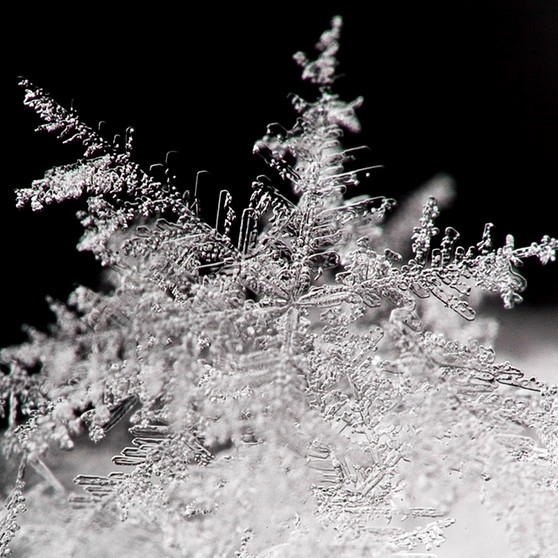 Eiskristall, Schneeflocke in Nahaufnahme. Eisblumen, Schneeflocken, Winterwetter vom Feinsten? Dabei ist die weiße Pracht gar nicht wirklich weiß. Und Schnee ist auch nur ein Niederschlag wie Regen oder Graupel. Zudem kann Schnee auch durchaus gefährlich werden. | Bild: picture-alliance/dpa, Patrick Pleul