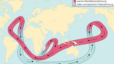Der Golfstrom - eine der größten und schnellsten Meeresströmungen. Die Grafik veranschaulicht den globalen ozeanischen Strömungskreislauf. | Bild: picture-alliance/dpa