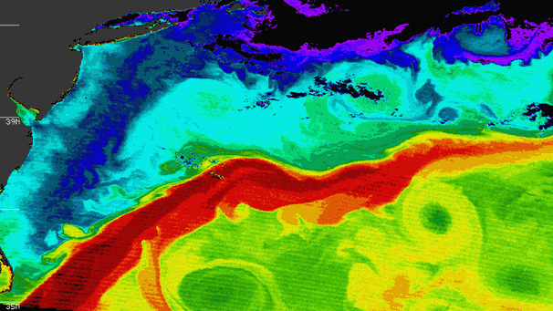 Temperatur des Golfstroms, Aufnahme vom 8. Mai 2000 | Bild: NASA