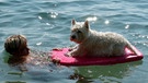 Junge mit Hund auf einem Schwimmbrett in einem See. An Hundstagen tut eine Erfrischung gut. Unser geliebter Vierbeiner hat mit der Bezeichnung der Tage aber nichts zu tun. | Bild: picture-alliance/dpa