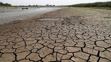 Laut Weltwetterorganisation (WMO) war 2020 eines der drei wärmsten je registrierten Jahre. Viele Flüsse vertrockneten. Im Bild: der Río Paraguay | Bild: dpa/picture-alliance/ASSOCIATED PRESS/Jorge Saenz