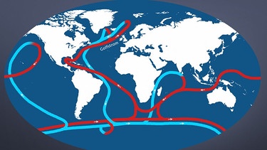 Vereinfachte Darstellung der Atlantischen Umwälzzirkulation (AMOC). Der Golfstrom ist ein Teil des Strömungssystems. | Bild: diercke.westermann.de / Grafik: BR