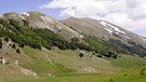 Baumgrenze in den italienischen Abruzzen | Bild: picture-alliance/dpa