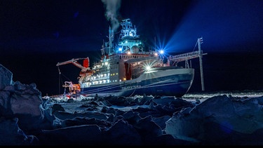 Mosaic-Expedition in die Arktis | Bild: dpa-Bildfunk/Lukas Piotrowski