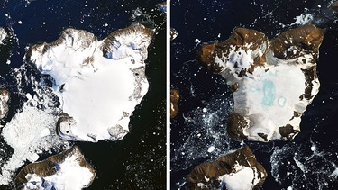 Satellitenbilder der Insel Eagle Island im Vergleich. | Bild: Joshua Stevens/NASA