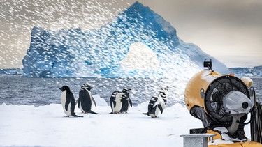 Pinguine vor Eislandschaft, Schneekanone beschneit die Kulisse | Bild: picture-alliance/dpa; Montage: BR