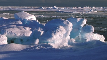 Eis und Schnee in der Arktis, aufgenommen auf Spitzbergen.  | Bild: picture-alliance/dpa