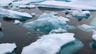 Arktisches Meereis zwischen Ostgrönland und Spitzbergen und die Folgen des Klimawandels. Jahr für Jahr schrumpft durch die globale Erwärmung die Fläche am Nordpol, die noch von Meereis bedeckt ist. Das "Ewige Eis" unserer Polkappen schmilzt: Am Nord- und Südpol macht sich der Klimawandel besonders bemerkbar. Könnten Arktis und Antarktis im Sommer bald eisfrei sein und was sind die Folgen, wenn große Mengen an Eis schmelzen? | Bild: Sebastian Menze/Alfred-Wegener-Institut/dpa