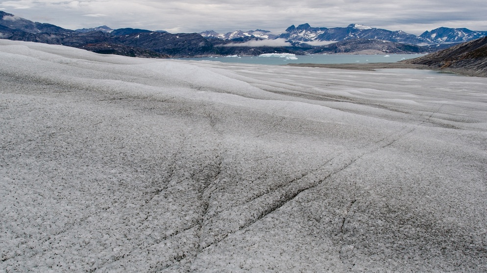 Gletscher in Grönland: Durch die zunehmende Schneeschmelze in der Arktis wird Mineralstaub frei, der die Gletscher verschmutzt und eindunkelt. So reflektieren sie weniger Sonnenlicht und schmelzen noch schneller ab. Das "Ewige Eis" unserer Polkappen schmilzt: Am Nord- und Südpol macht sich der Klimawandel besonders bemerkbar. Könnten Arktis und Antarktis im Sommer bald eisfrei sein und was sind die Folgen, wenn große Mengen an Eis schmelzen? | Bild: picture-alliance/dpa