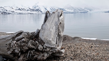 Ufer auf Spitzbergen. In den Permafrostböden der Arktis ist viel organisches Material gespeichert. Taut das Eis, werden große Mengen am schädlichen Treibhausgas Methan freigesetzt. | Bild: picture-alliance/dpa