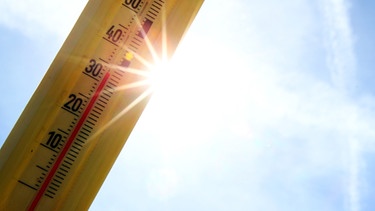 Folge des Klimawandels: Temperaturen über 30 Grad sind auch bei uns immer häufiger. Darunter leidet die Natur und unsere Gesundheit. Im Bild: Termometer in der Sonne. | Bild: picture-alliance/dpa