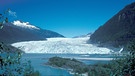 Gletscher Mendenhall 1987 | Bild: picture-alliance/dpa