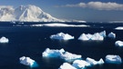 Schwimmende Eisschollen im Meer.  | Bild: colourbox.com