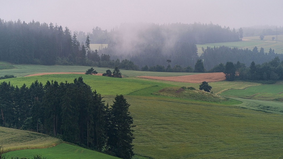 Dunst steigt am frühen Morgen im Juli 2021 aus den Waldgebieten nahe Naila auf. In Bayern war es im Juli 2021 im Durchschnitt ein bis zwei Grad kühler als im Mittel der drei Jahrzehnte davor. Vergleicht man die Daten dagegen mit dem Zeitraum von 1970 bis 2000, war dieser Juli in Bayern um ein Grad wärmer als im damaligen Durchschnitt. | Bild: dpa-Bildfunk/Nicolas Armer