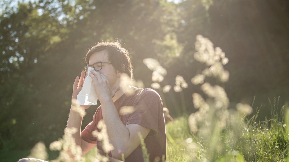 Ein Mann sitzt in einer Wiese mit hohen Gräsern und niest in ein Taschentuch.  | Bild: picture-alliance/dpa / Zacharie Scheurer
