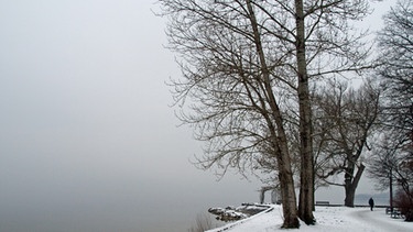 Nebel am Ammersee. Wann handelt es sich um Tau, Nebel oder Reif? | Bild: colourbox.com