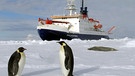 Das Forschungsschiff "Polarstern" unterwegs in der Antarktis vor Pinguinen. | Bild: Alfred-Wegener-Institut (AWI) 