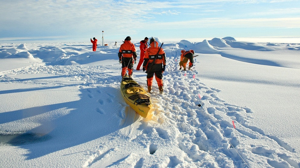 Forscher des Forschungsschiffs "Polarstern" messen in der Arktis die Eisdicke und ziehen dabei ein Kajak hinter sich her.  | Bild: Stefan Hendricks / Alfred-Wegener-Institut