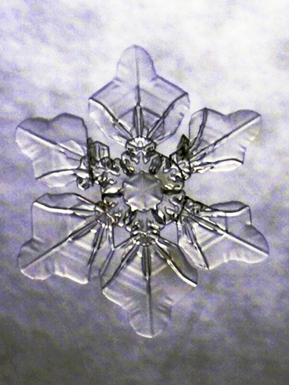 Eiskristall. Trotz Kälte stehen an manchen Tagen ganz besondere Pflanzen in voller Blüte. Ihr fragt euch, wie und warum sich im Winter Eiskristalle am Fenster bilden? Wir erklären euch, wann Eiskristalle und Eisblumen entstehen und warum Eiskristalle sechseckig sind. Außerdem erfahrt ihr, was der Unterschied zwischen Eiskristallen und einer Schneeflocke ist und wie viele Eiskristalle in einer Schneeflocke sind. | Bild: Helmut Herbel