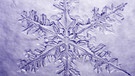 Eiskristall. Trotz Kälte stehen an manchen Tagen ganz besondere Pflanzen in voller Blüte. Sie sprießen an Fenstern, wuchern über Autoscheiben und glitzern an Bushaltestellen: Eisblumen. Ihr fragt euch, wie und warum sich im Winter Eiskristalle am Fenster bilden? Wir erklären euch, wann Eiskristalle und Eisblumen entstehen und warum Eiskristalle sechseckig sind. Außerdem erfahrt ihr, was der Unterschied zwischen Eiskristallen und einer Schneeflocke ist und wie viele Eiskristalle in einer Schneeflocke sind. | Bild: Helmut Herbel