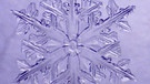 Eiskristall. Trotz Kälte stehen an manchen Tagen ganz besondere Pflanzen in voller Blüte. Sie sprießen an Fenstern, wuchern über Autoscheiben und glitzern an Bushaltestellen: Eisblumen. Ihr fragt euch, wie und warum sich im Winter Eiskristalle am Fenster bilden? Wir erklären euch, wann Eiskristalle und Eisblumen entstehen und warum Eiskristalle sechseckig sind. Außerdem erfahrt ihr, was der Unterschied zwischen Eiskristallen und einer Schneeflocke ist und wie viele Eiskristalle in einer Schneeflocke sind. | Bild: Helmut Herbel